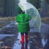 rainy-day-690x435-c